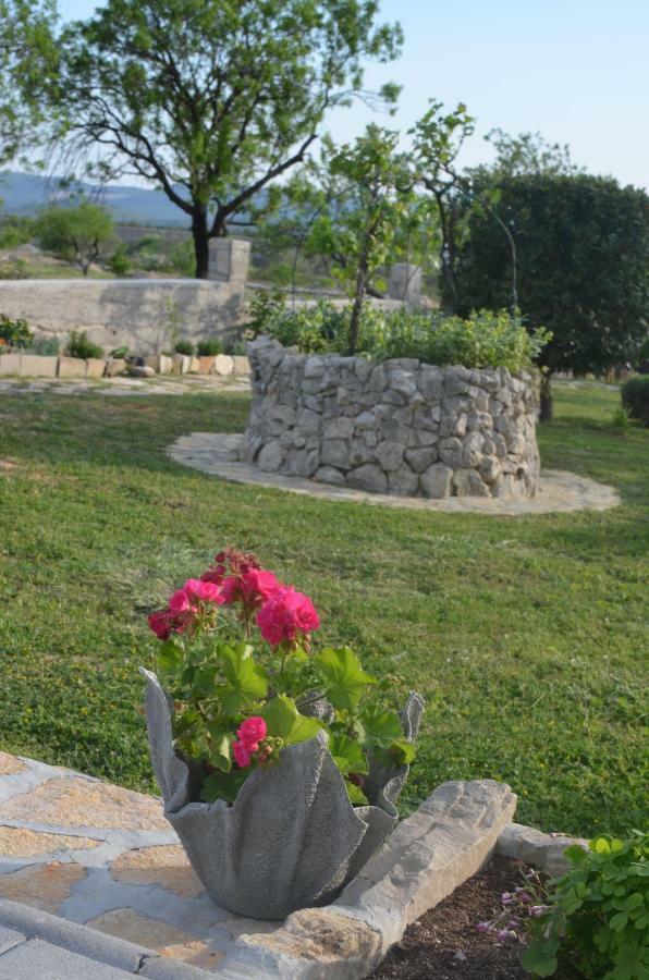 Apartment Ariela Skradin Εξωτερικό φωτογραφία